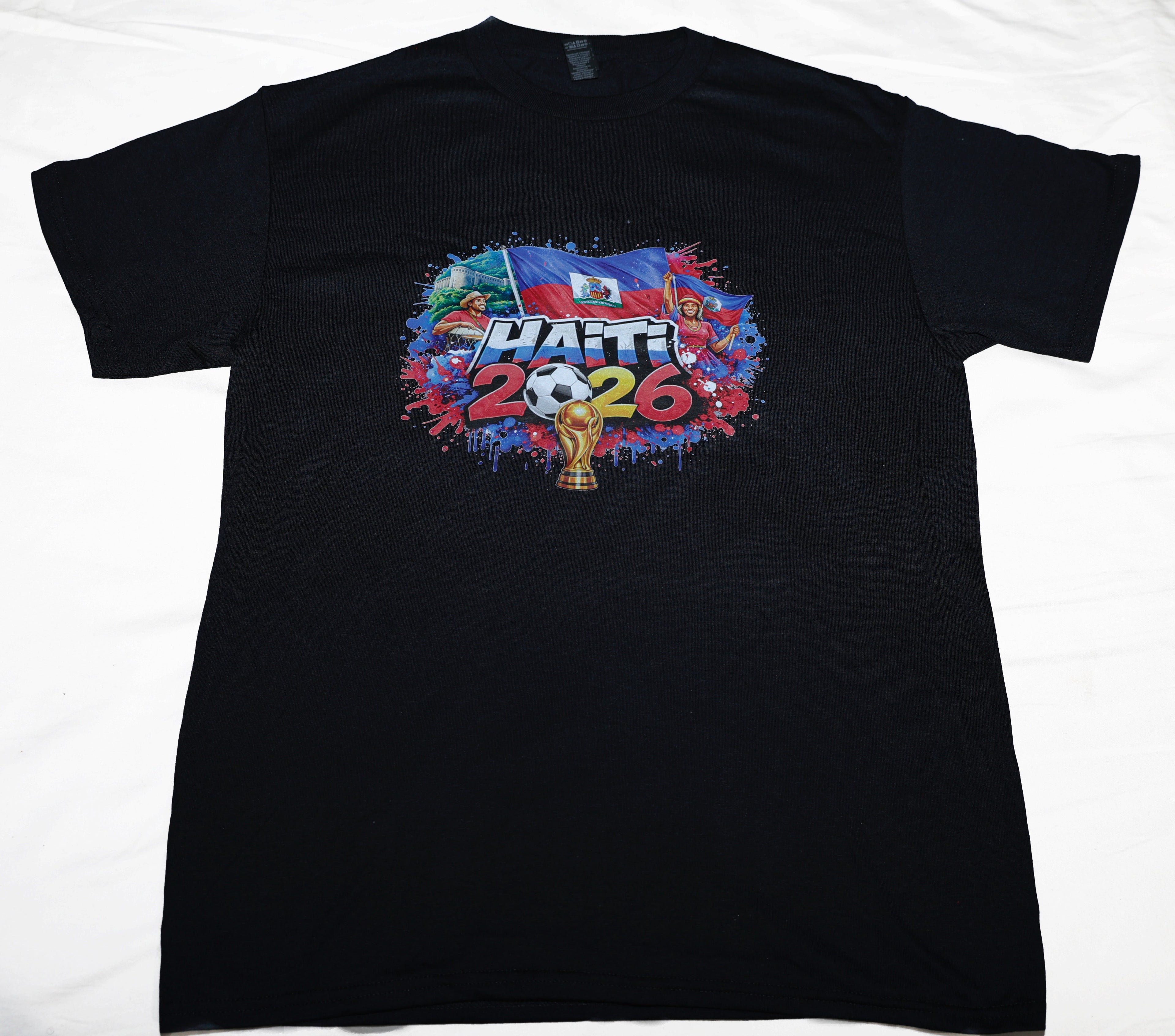 Haiti 2026 Noir